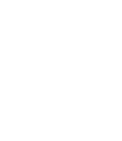 Logo Skulldesign - Cutsom Graphics